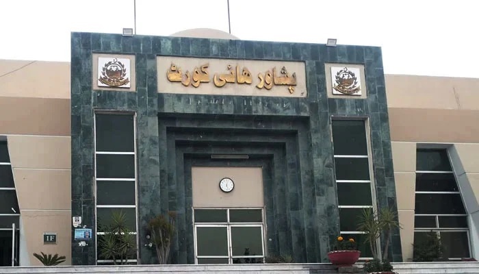 Sanam Javed, Raja Basharat and Aliya Hamza get transit bail from PHC
