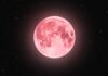 Don’t miss 2026’s only ‘blood moon’ total lunar eclipse coming soon
