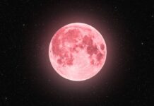 Don’t miss 2026’s only ‘blood moon’ total lunar eclipse coming soon