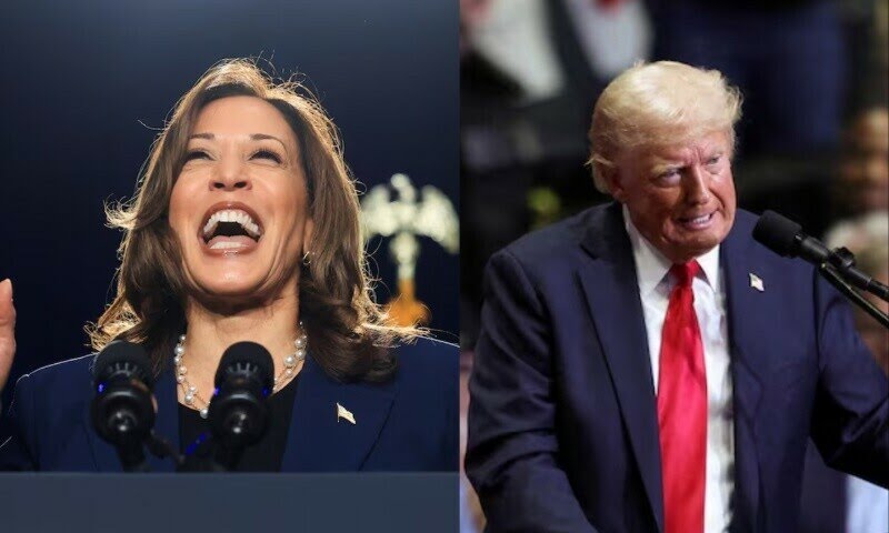 Kamala Harris leads Donald Trump 44pc to 42pc in US presidential race, poll finds