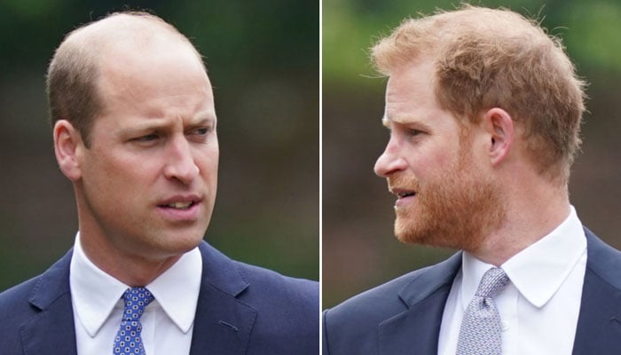 Prince Harry knows Prince William would 'never' forgive for this action