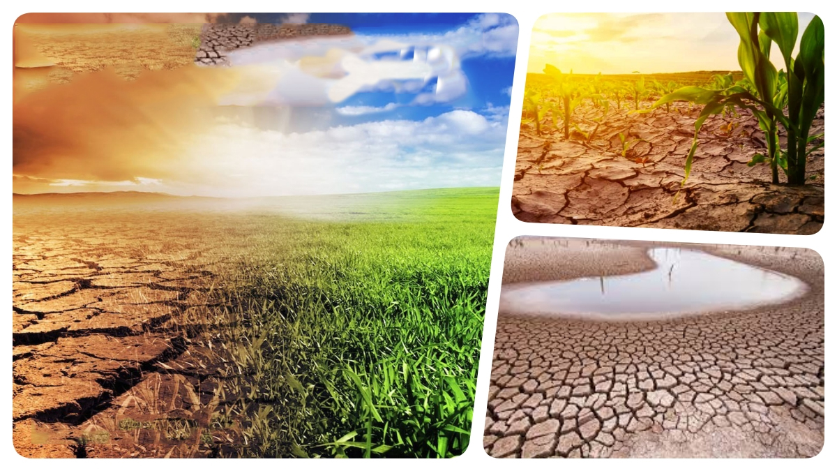 Climate Change - A setback for livestock-based economies