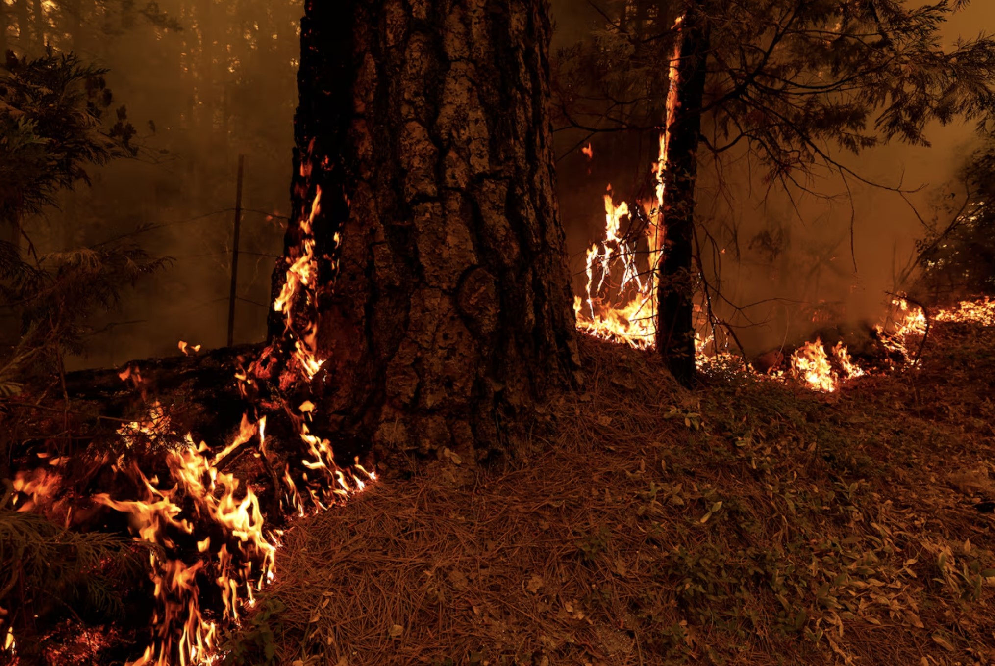 Thousands of firefighters battling California wildfire becomes largest in US
