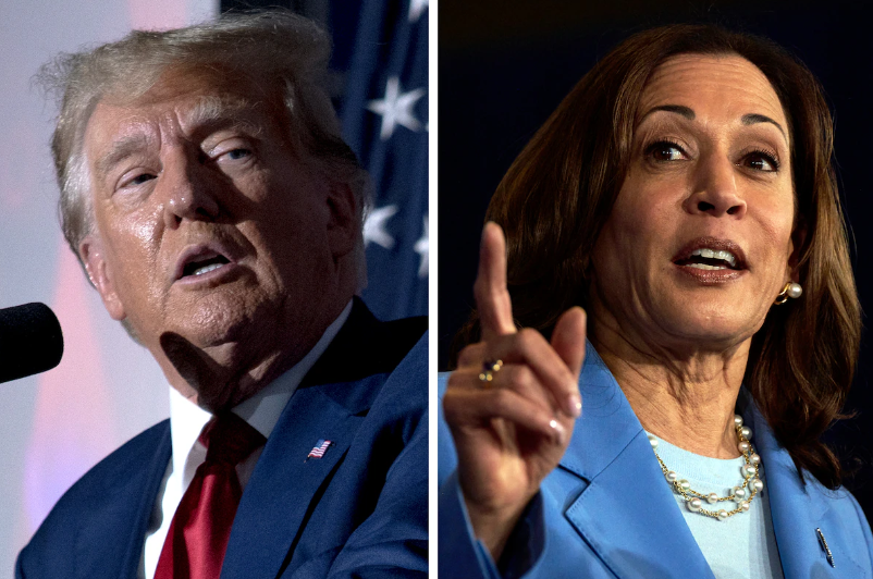 Trump vs Harris: New strategies adopted on both sides as numbers game changes