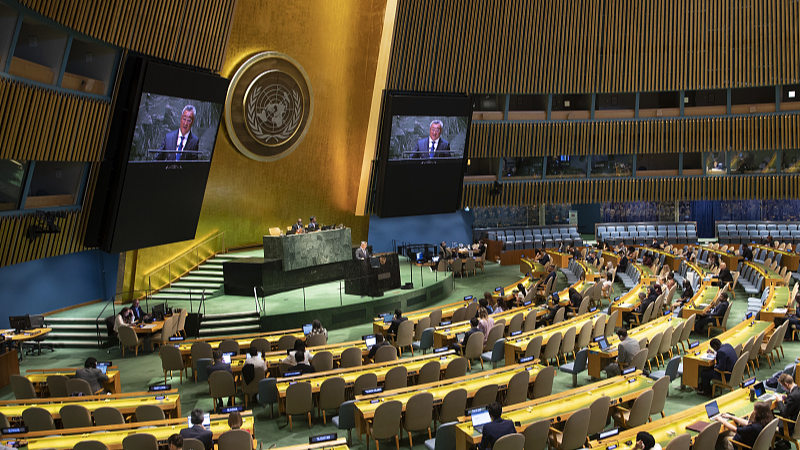 UN adopts China's resolution aiming to bring equal access of AI to all nations
