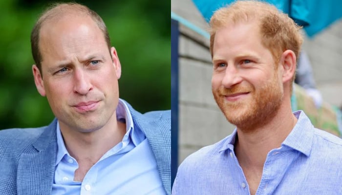 Prince William 'furious' as Prince Harry presented with major honour