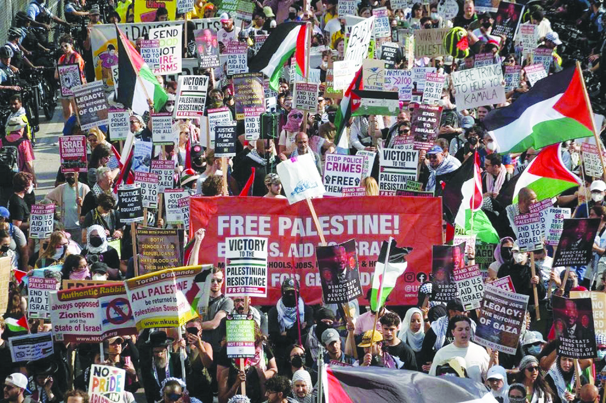 Palestine won at the democratic convention 