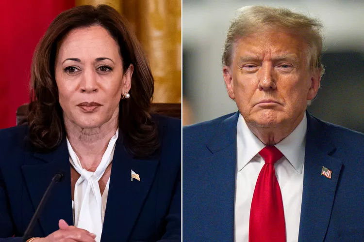 Trump, Harris trade barbs as they battle for swing state votes