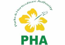 PHA offers city underpasses, pedestrian bridges for commercial advertising