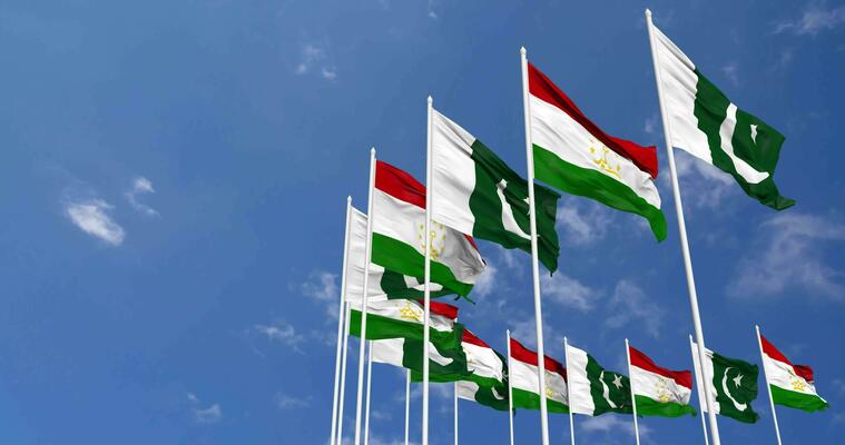 Pakistan, Tajikistan pledge stronger defence cooperation