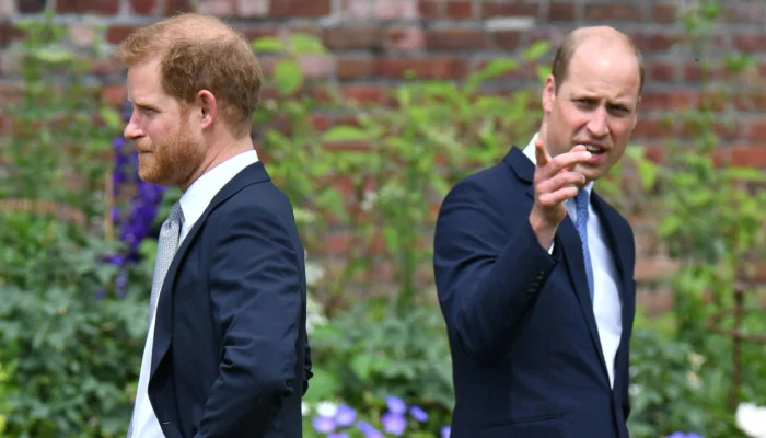 Shocking details surrounding Prince William and Harry's relationship revealed