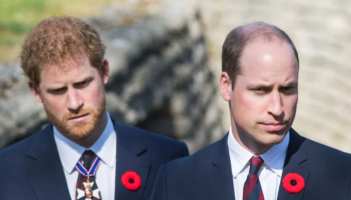 Prince William and Harry Face Tragedy After Close Cousin Is Found Dead At 20