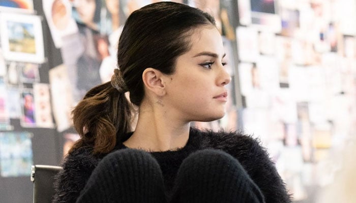 Selena Gomez slams haters, internet reacts