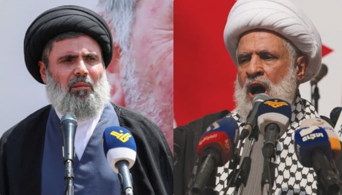 Who will likely replace Nasrallah as Hezbollah chief?