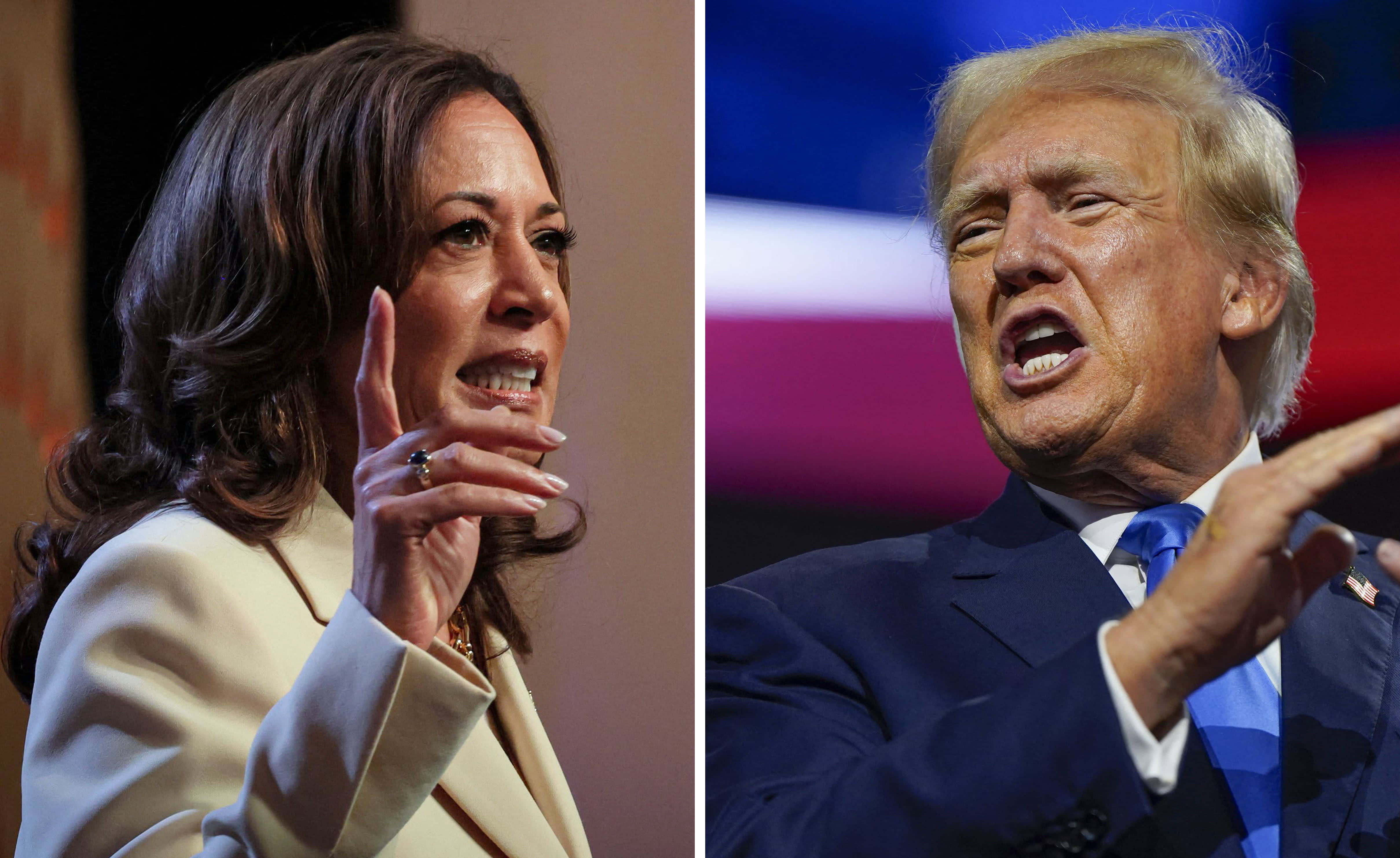 Trump or Harris: No respite for Palestine