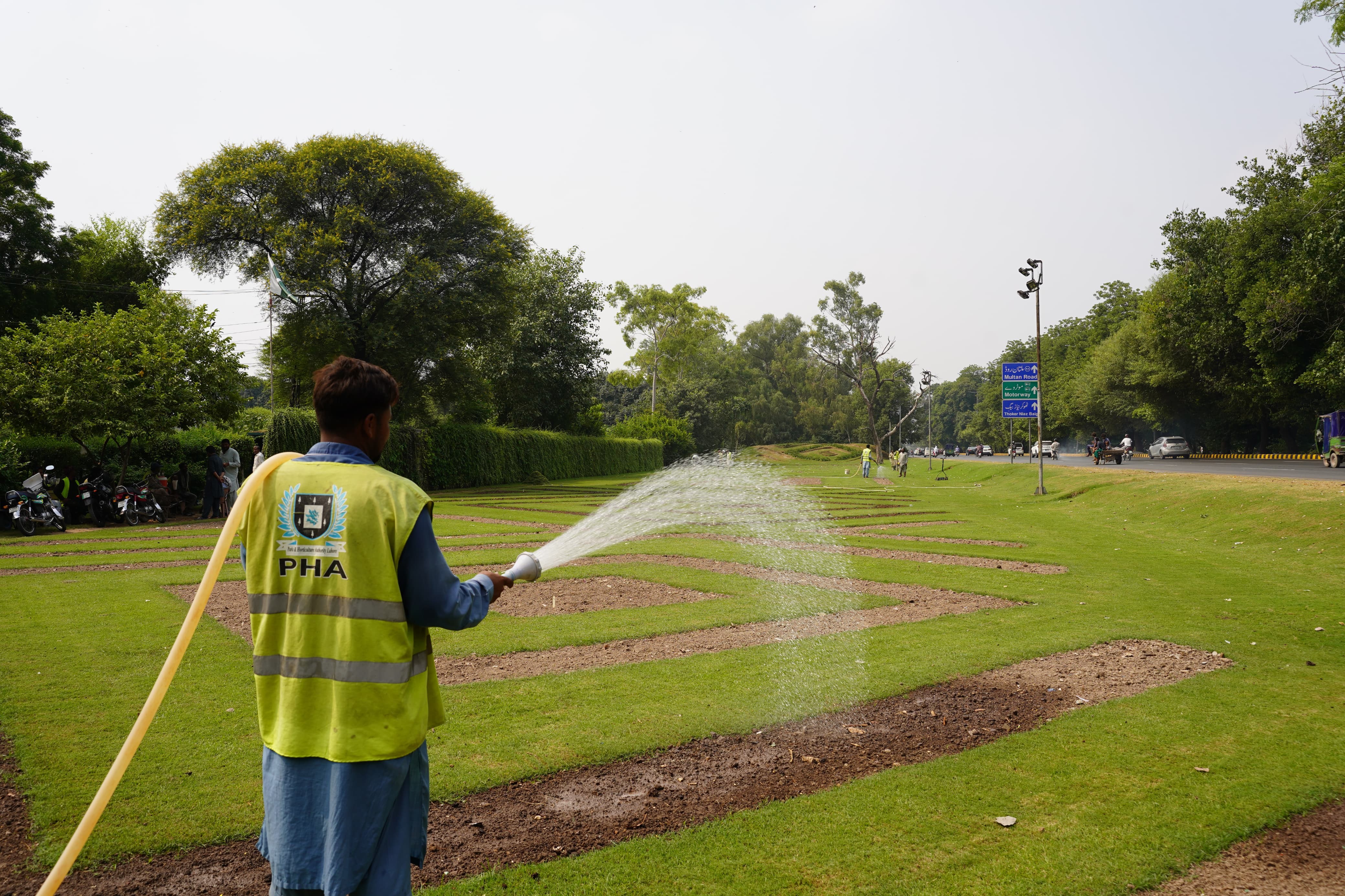 PHA starts plantation of winter decorative flowers