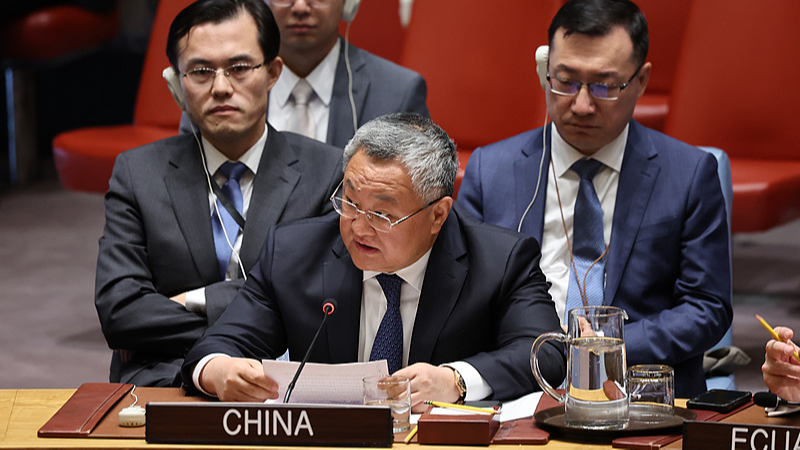 Global Governance Initiative offers guidance for UN's future development: FU Cong