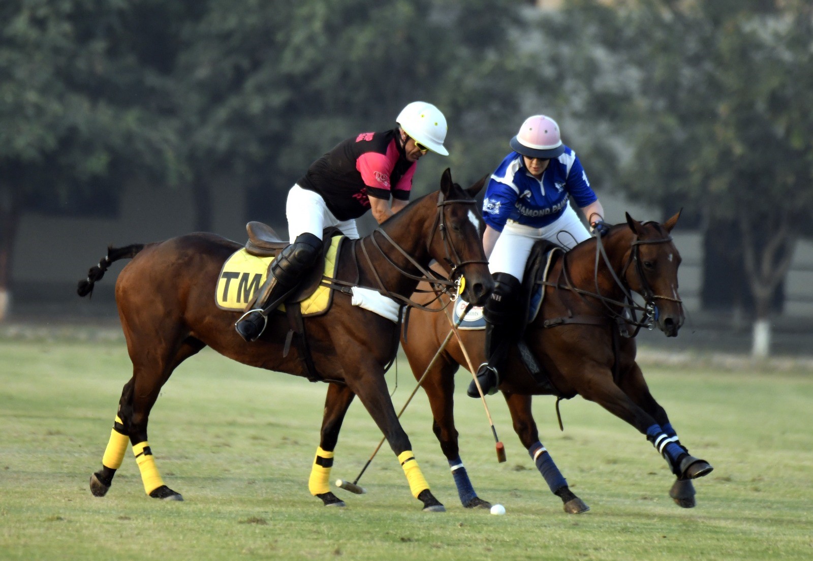 DP, Sheikhoo Steel emerge triumphant in Pink Polo Cup 2024