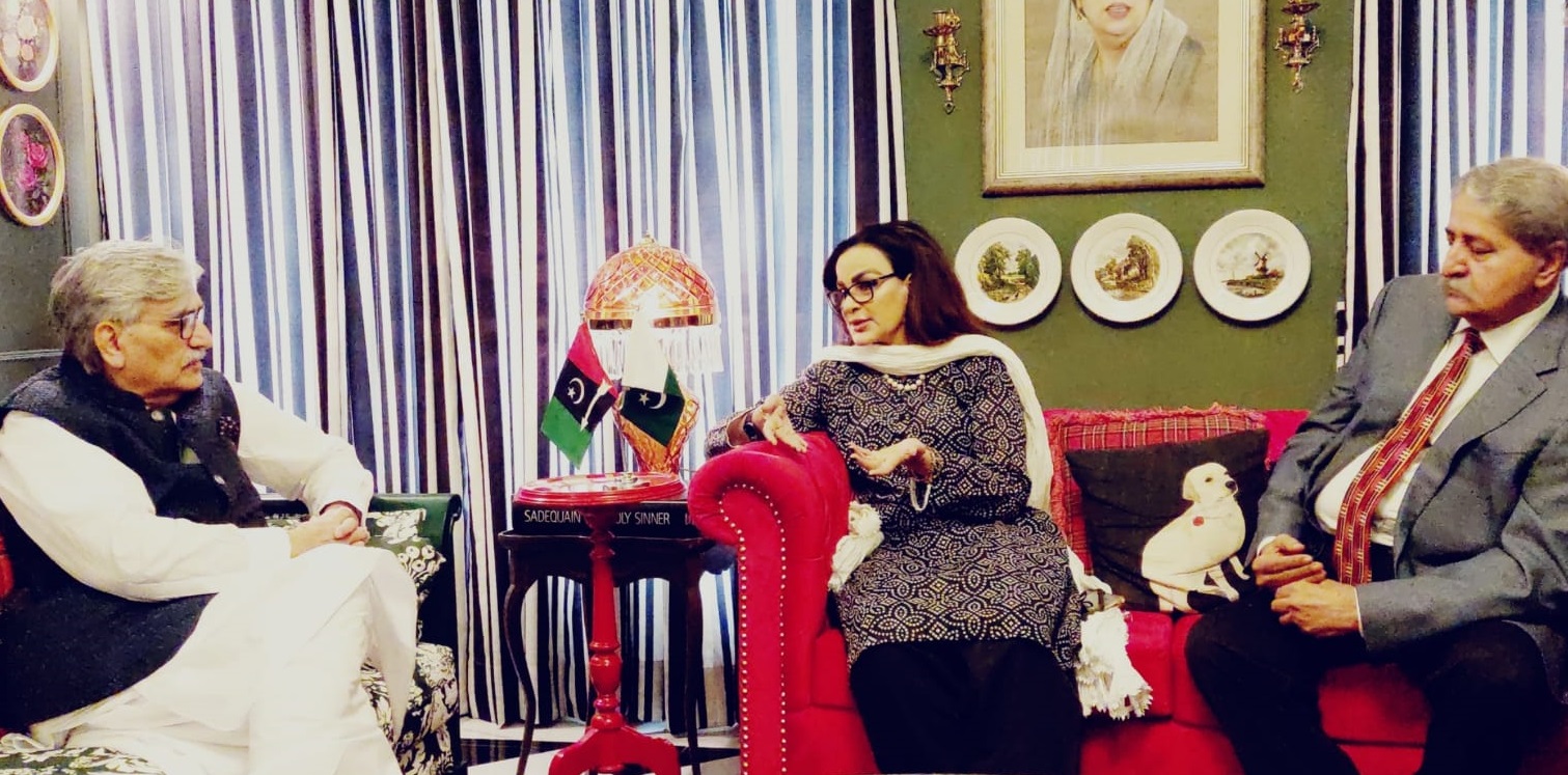 PPP pushes for federal constitutional court in landmark reform effort