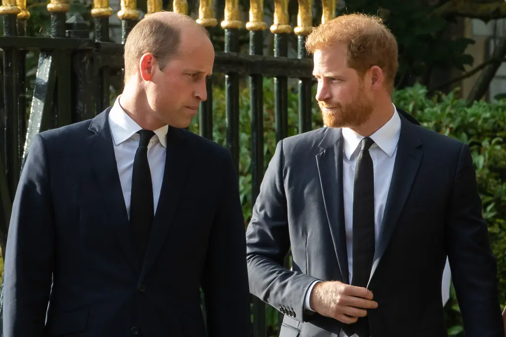 Prince William finally begins peace talks with Prince Harry