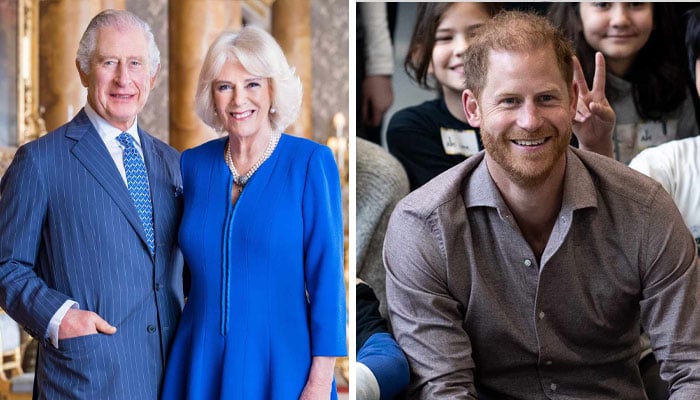 Palace releases statement after Prince Harry sends out UK Christmas invites