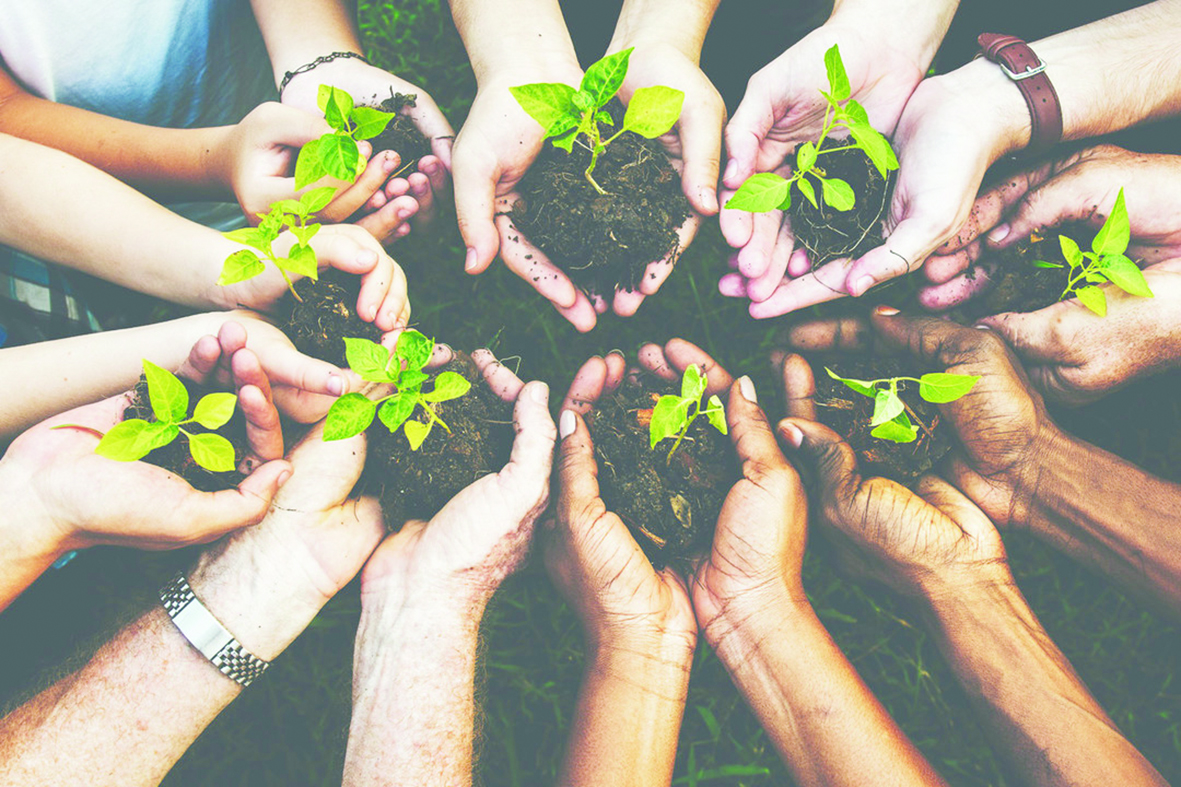 Survival and sustainability