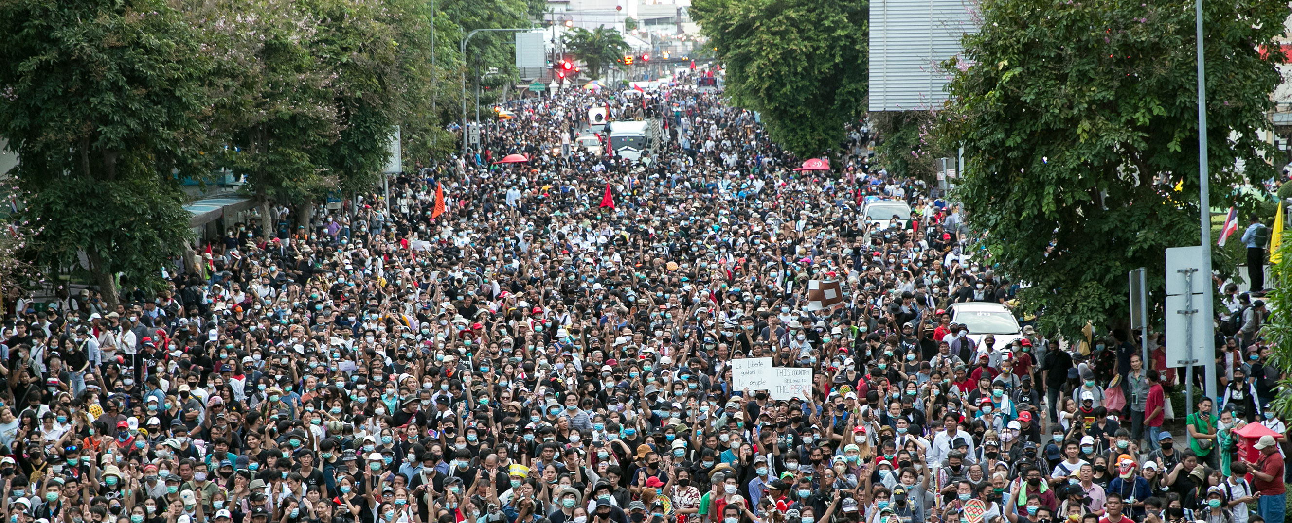 Why protest politics is harmful