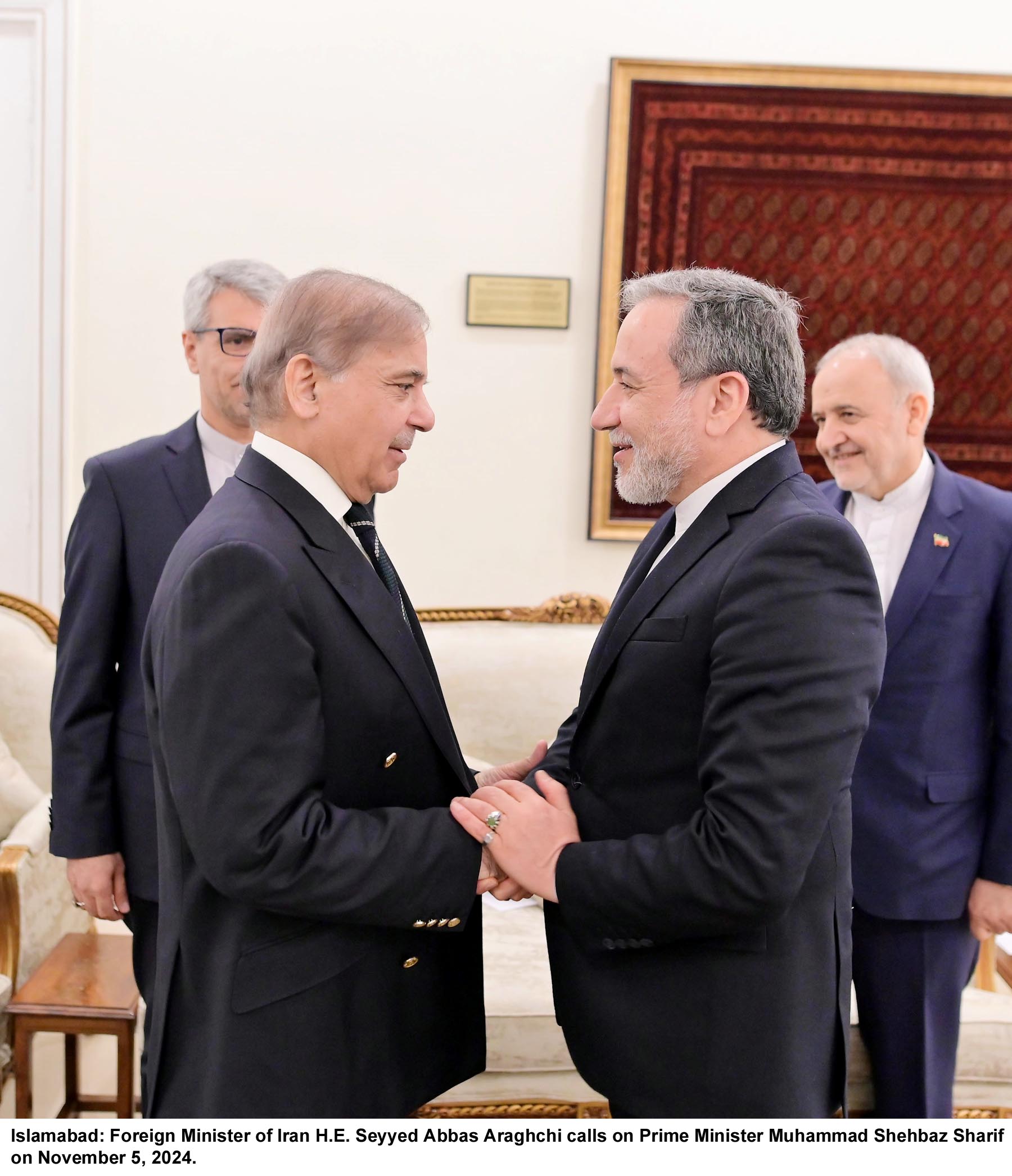 Pakistan desires to strengthen Iran ties through high-level exchanges, mutual cooperation: PM