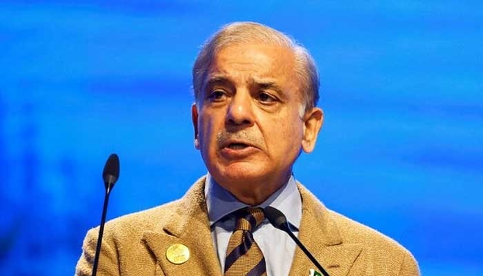 PM Shehbaz to visit Saudi Arabia, Azerbaijan next week for Arab Summit, COP29
