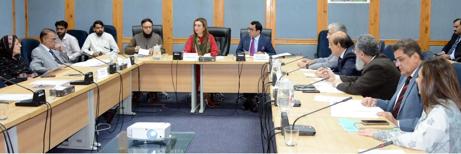 Senate panel pushes for transparency in higher education amid fraud concerns