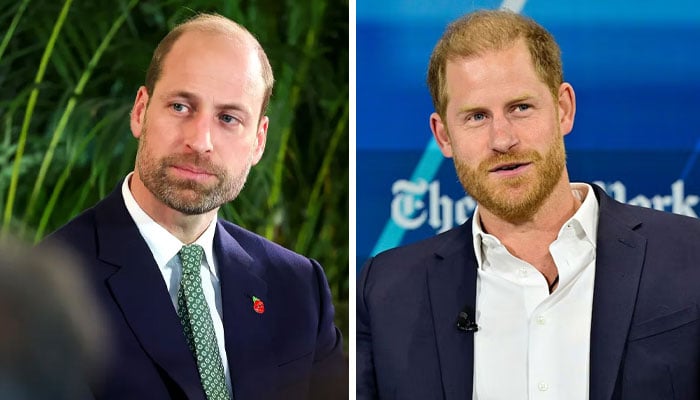 Prince William, Prince Harry get snubbed for 1000-year-old royal tradition