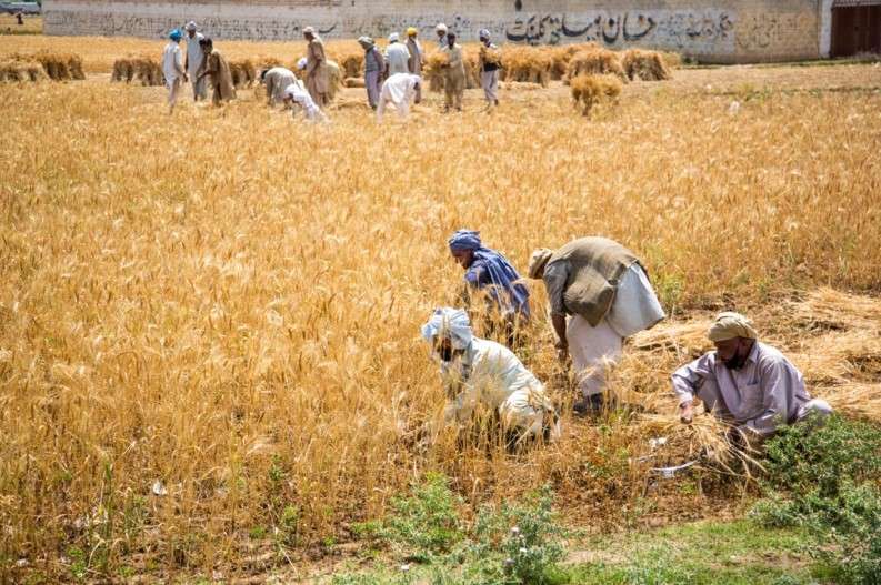 Challenges to revitalizing agriculture