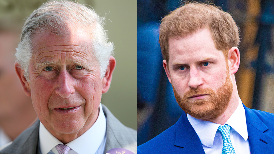 King Charles Takes Further Step Away from Prince Harry, Relationship Remains Complicated