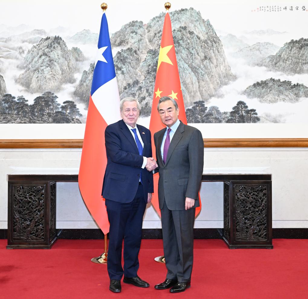 Chinese FM calls for advancing comprehensive strategic partnership with Chile
