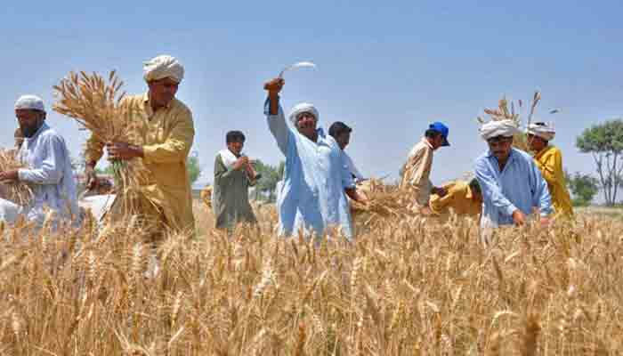 Securing Pakistan's Agricultural future