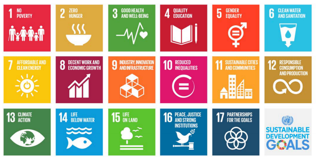 Language planning for sustainable development in Pakistan