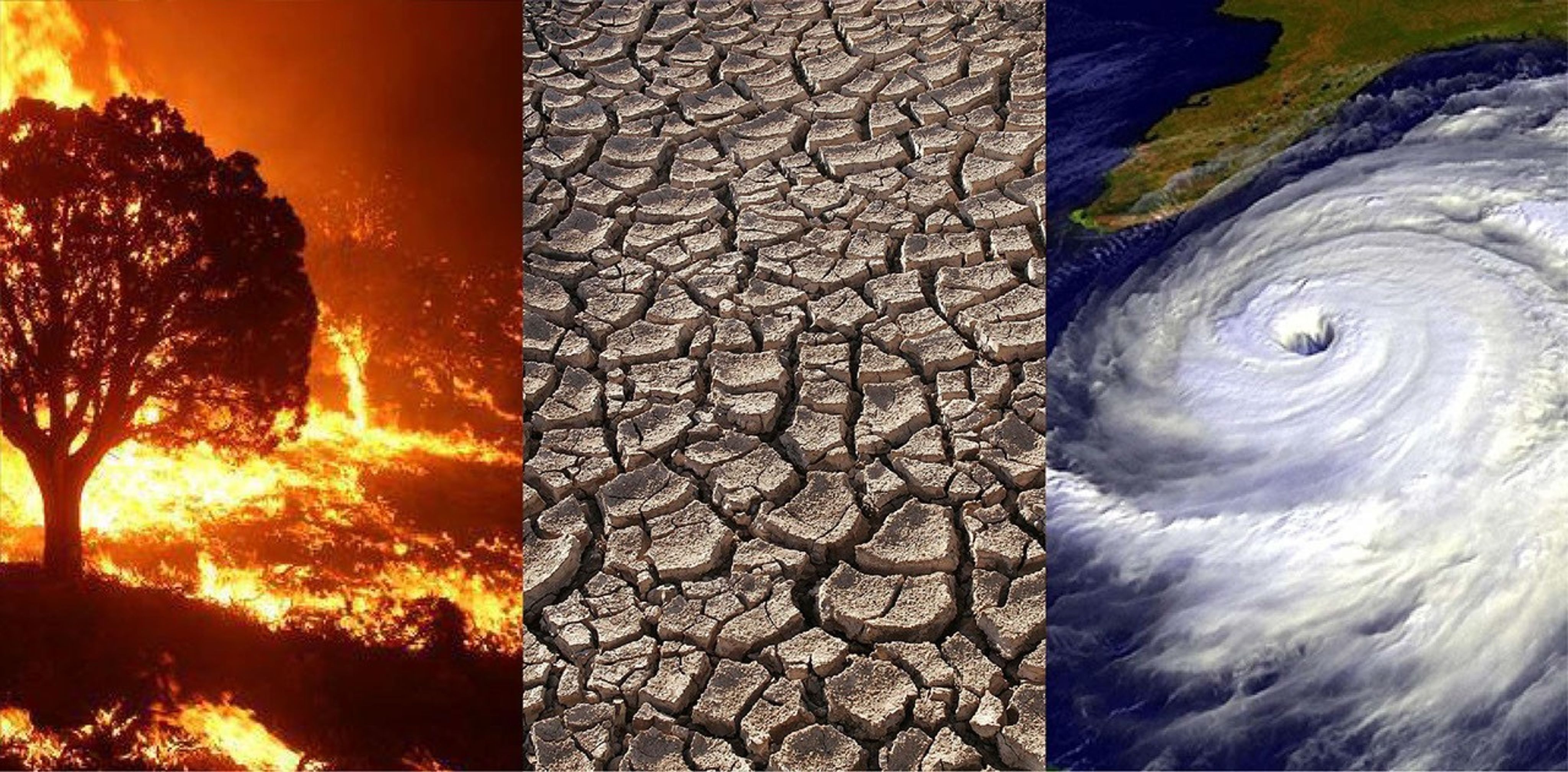 Disasters or global warming?
