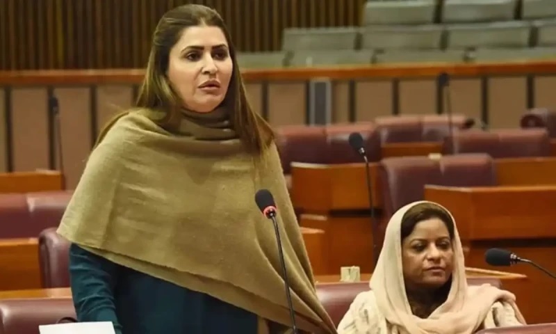 ‘Govt hinges on PPP support,’ Marri cautions PML-N against ‘unilateral decisions’