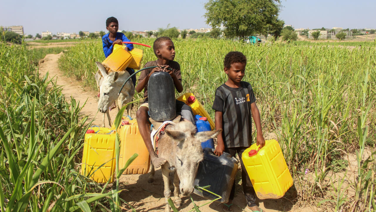 More than 19.5 million Yemenis in need as crisis worsens: UN