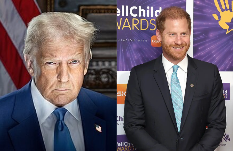 Prince Harry Deportation Becomes Likely As Donald Trump Supports Prosecution