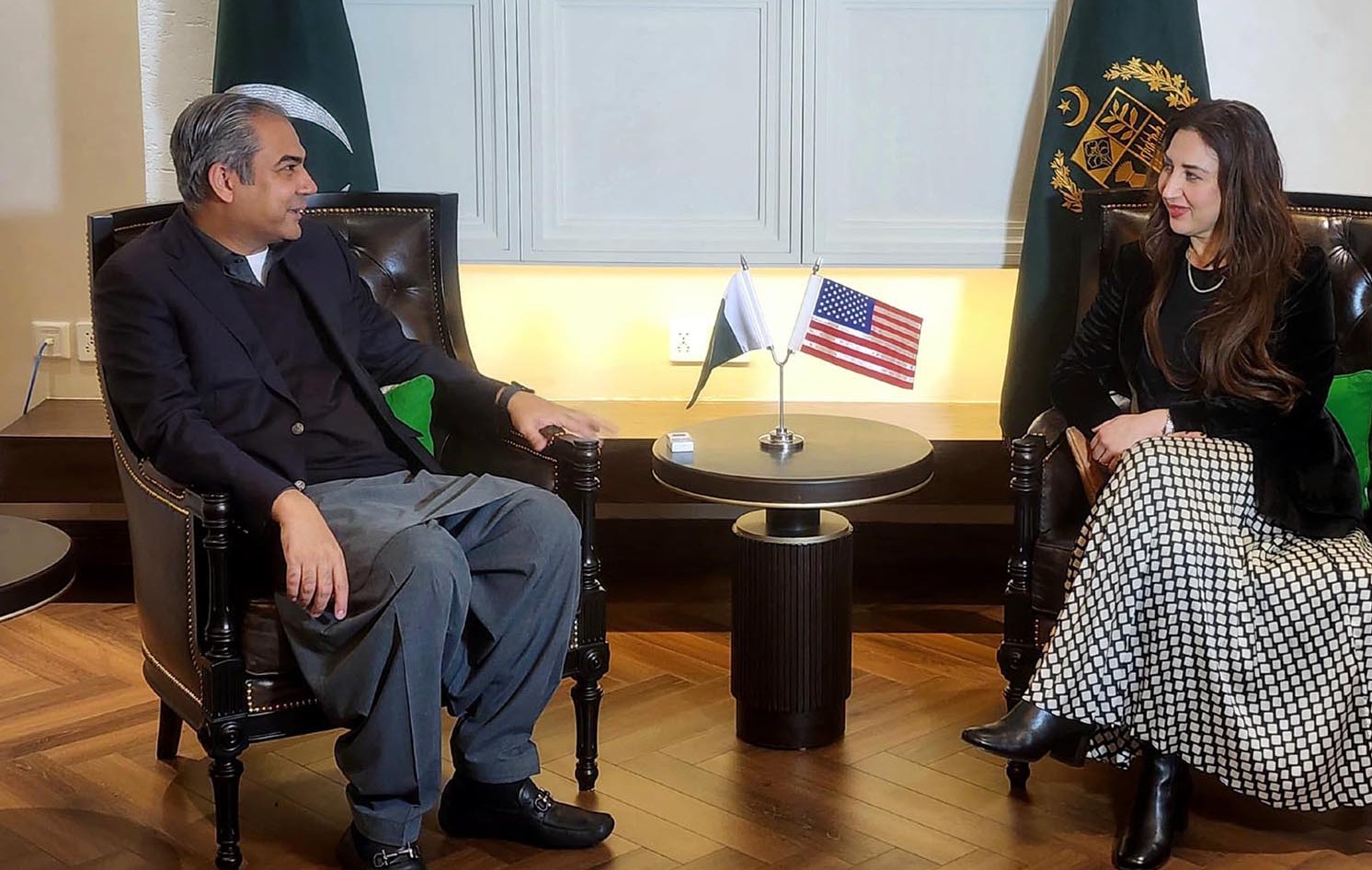 Naqvi, US envoy explore stronger ties and counterterrorism cooperation