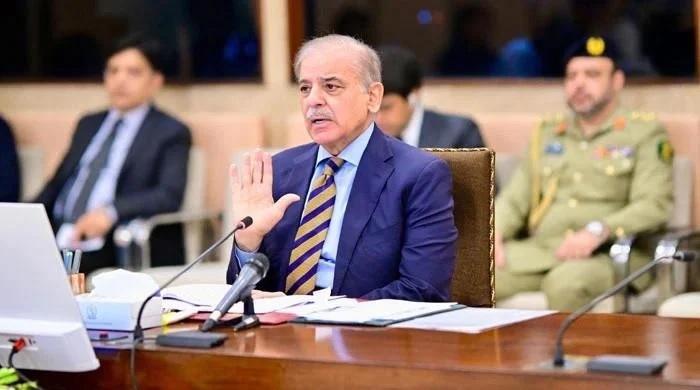 PM reiterates call for more predictable, flexible funding for developing nations to tackle climate crisis
