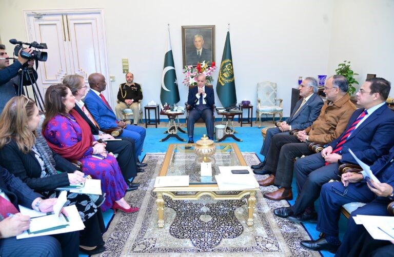 PM emphasizes enhanced collaboration with UN in climate change, development