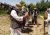 UNSC report confirms Afghanistan as TTP safe haven amid rising attacks on Pakistan