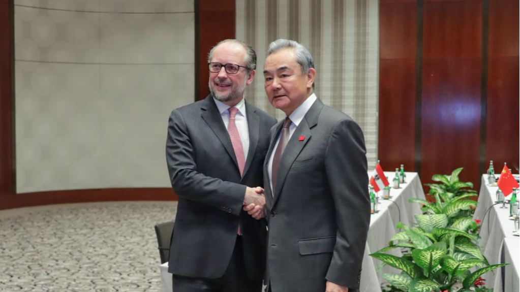 China vows to work with Austria to uphold multilateralism