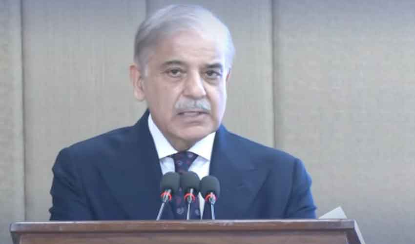 PM Shehbaz Cuts Electricity Rates by Rs7.41 Per Unit for Households