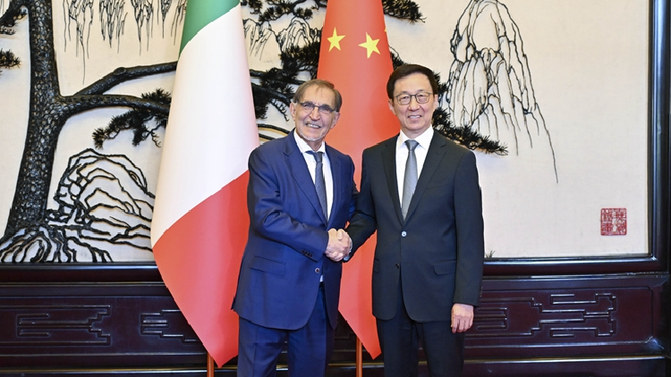 Chinese vice president meets Italy's Senate president