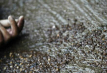 Old rivalry leaves six dead in separate Peshawar shootings