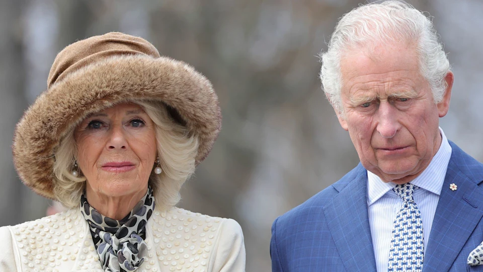 Queen Camilla's Struggles Behind The Scenes Revealed Amid King Charles' Cancer Battle