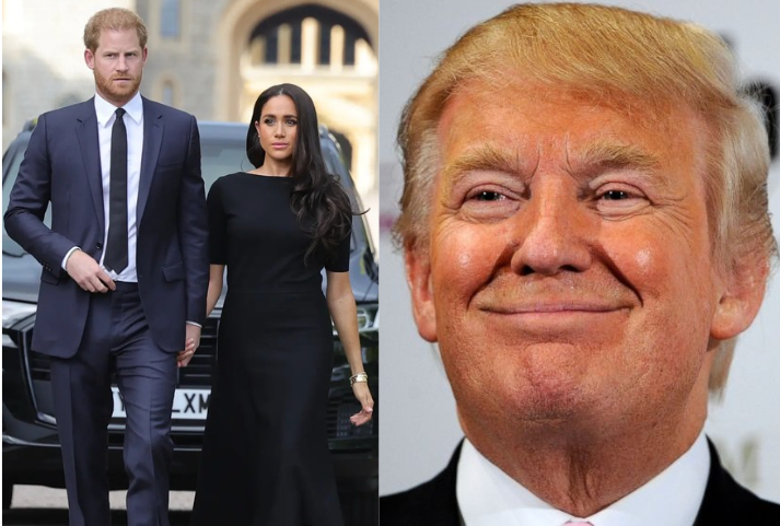 Prince Harry's Lies Catch Up To Him Amid US Visa Cancellation Looms Large